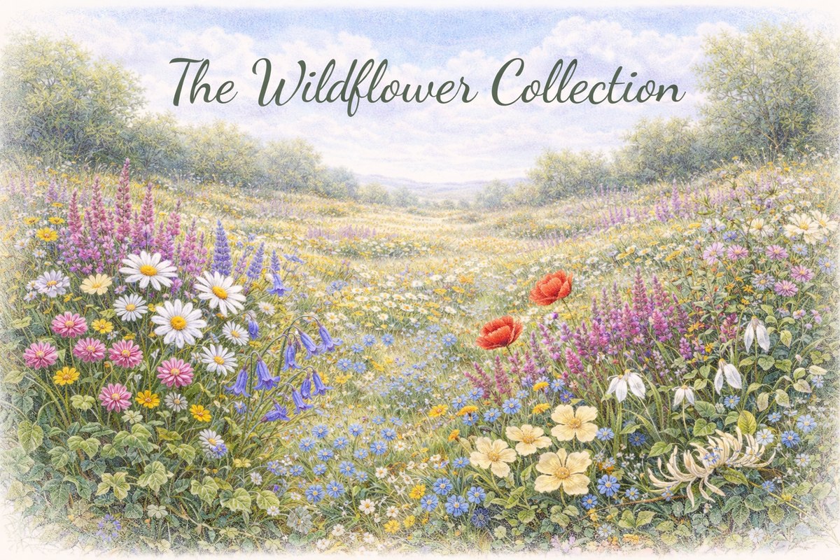 The Wildflower Collection
